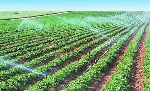 啊啊啊日嫩粉的逼爱操逼视频农田高 效节水灌溉